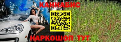 гидра Заволжье