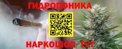гидра Заволжье
