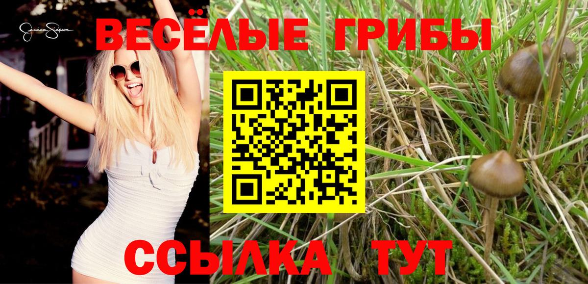 Галлюциногенные грибы Magic Shrooms Дубна